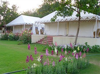 Jungle View Resort Sawai Madhopur Eksteriør bilde