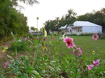 Jungle View Resort Sawai Madhopur Eksteriør bilde