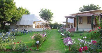 Jungle View Resort Sawai Madhopur Eksteriør bilde